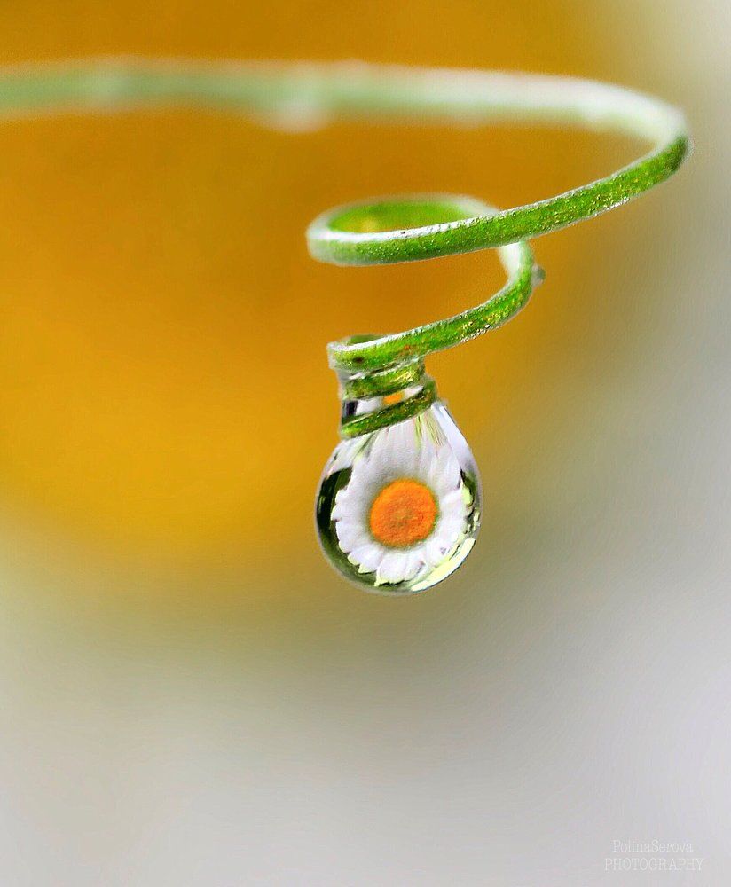 Лето в капле