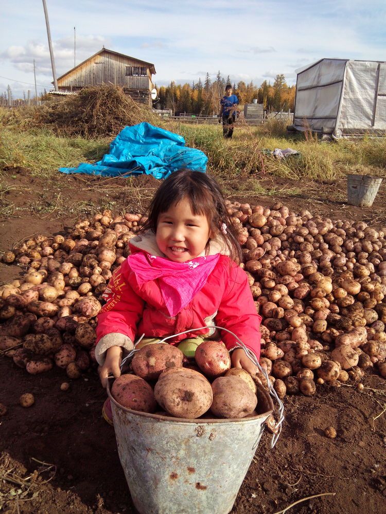 Осенний урожай