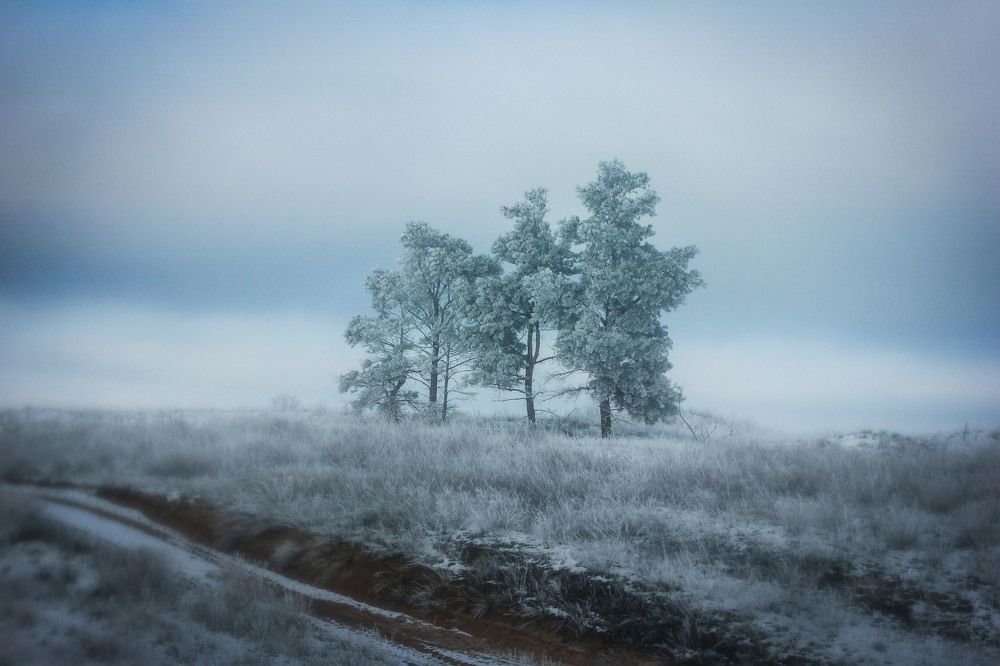 Зимняя дорога М6