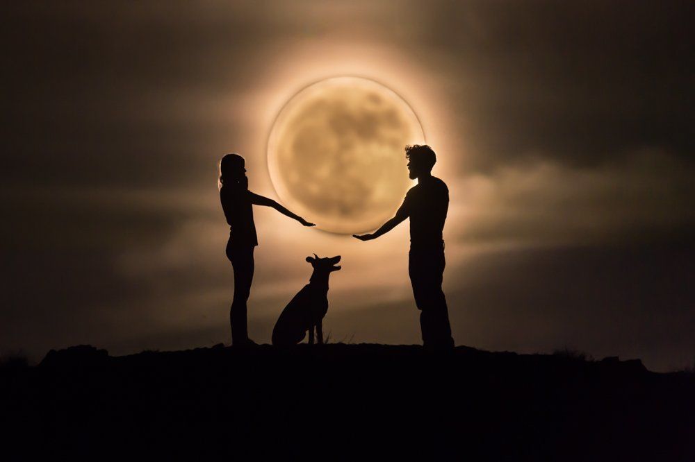 To the moon and back