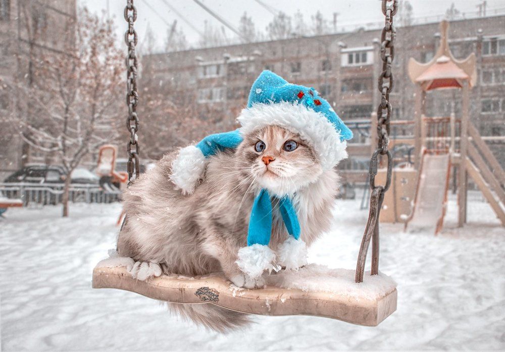 Маленький новый год