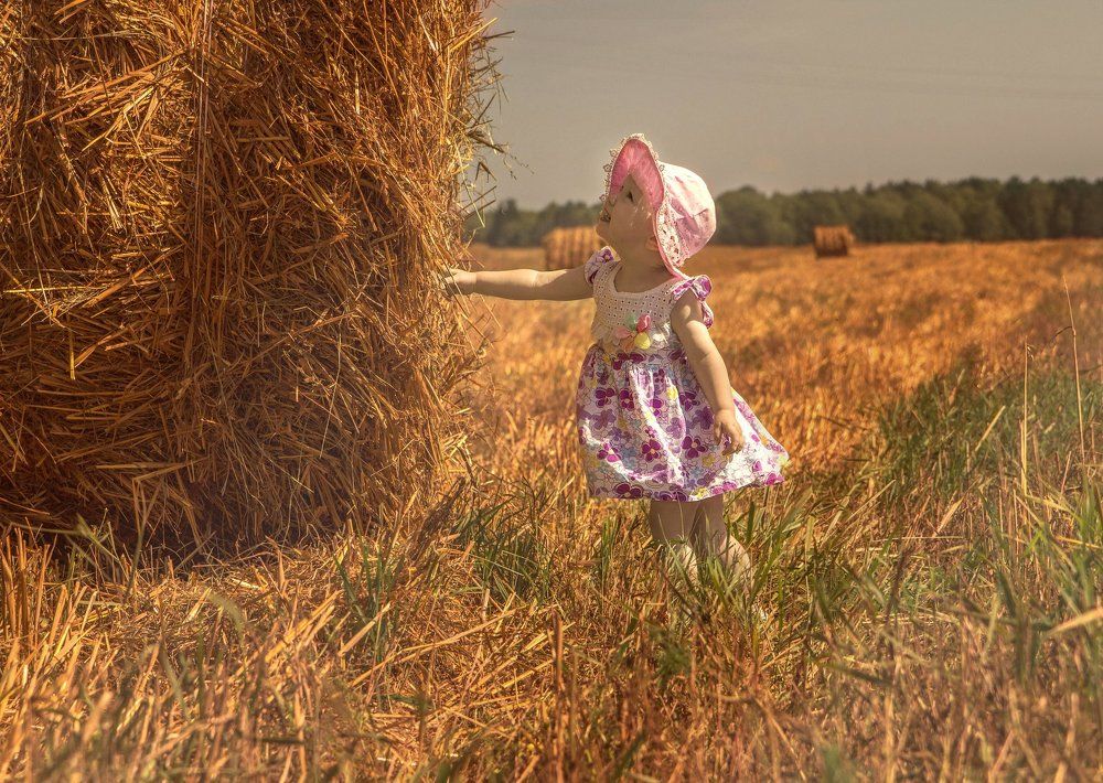 Фотография автора Ольга Сорокина