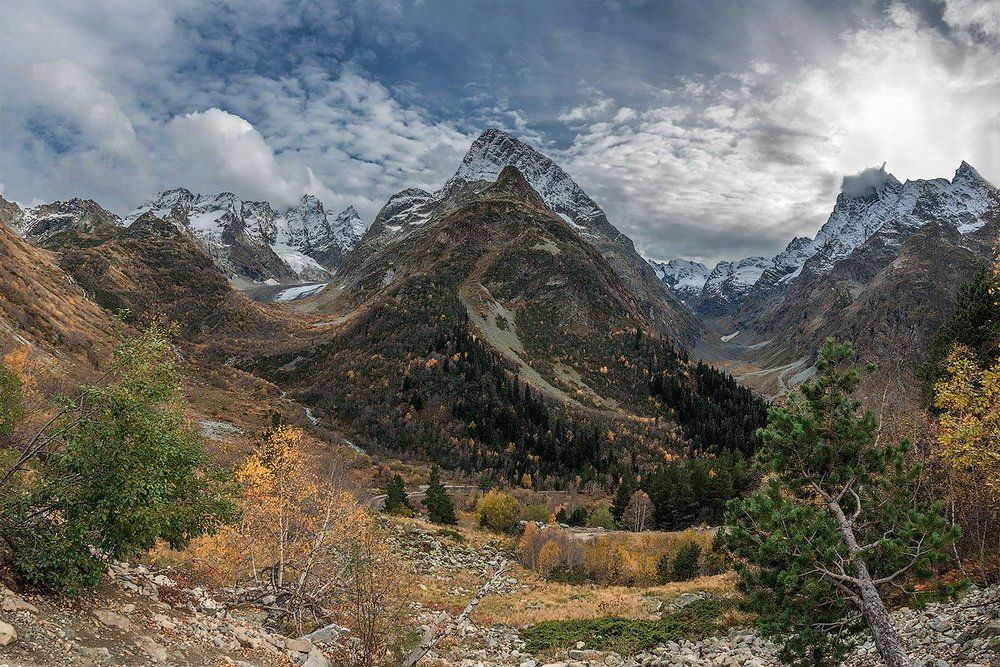 Зона тишины