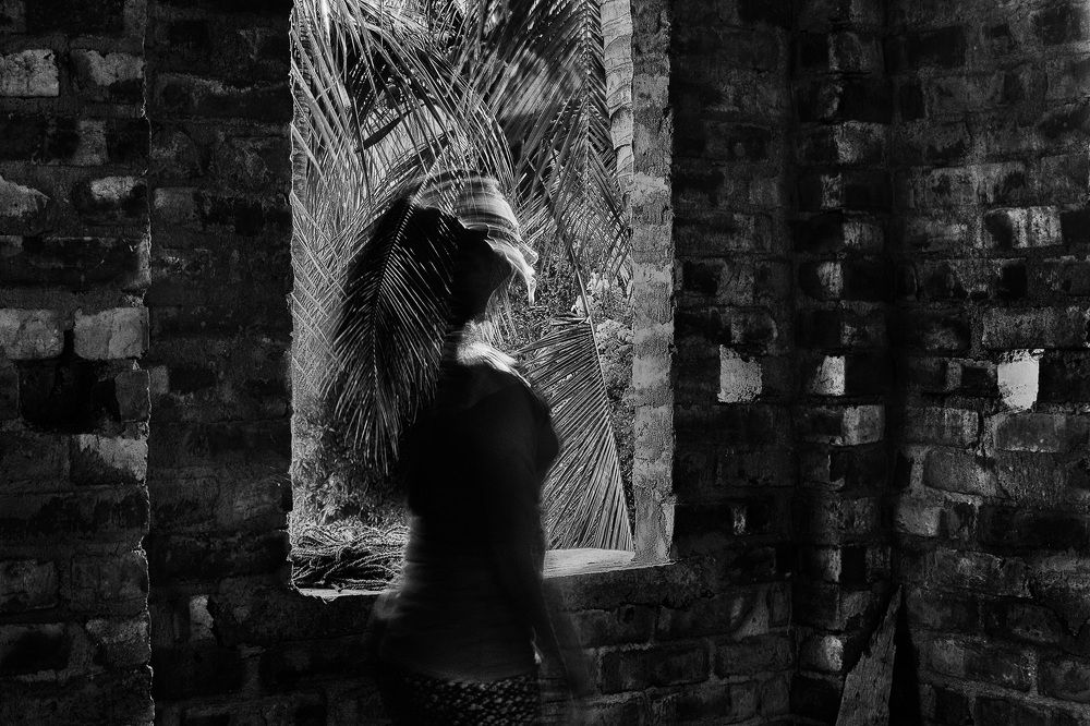 Human in the Kingdom of Nature