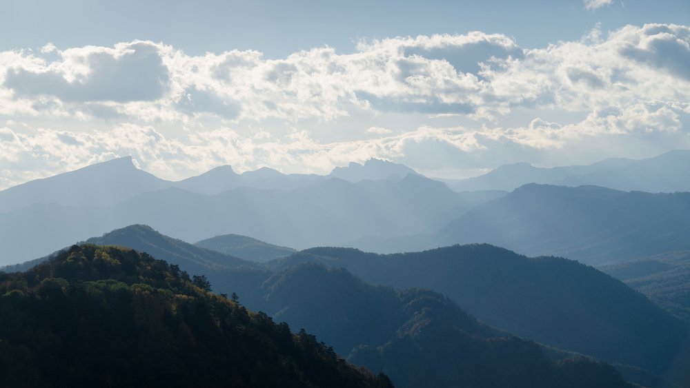 Не будите спящего Горца.