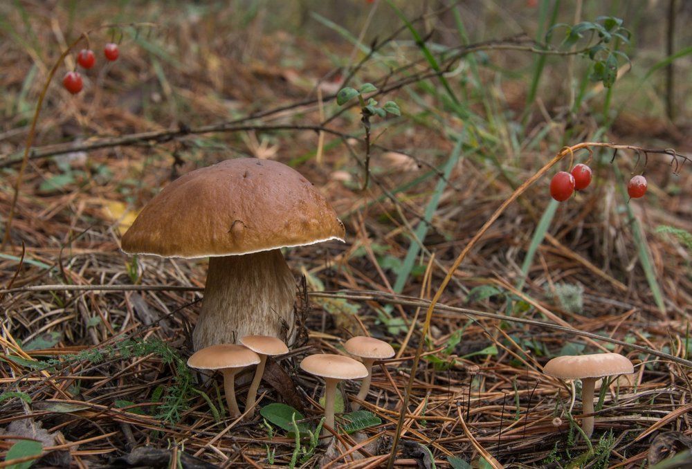 Photograph by Александр Халимов