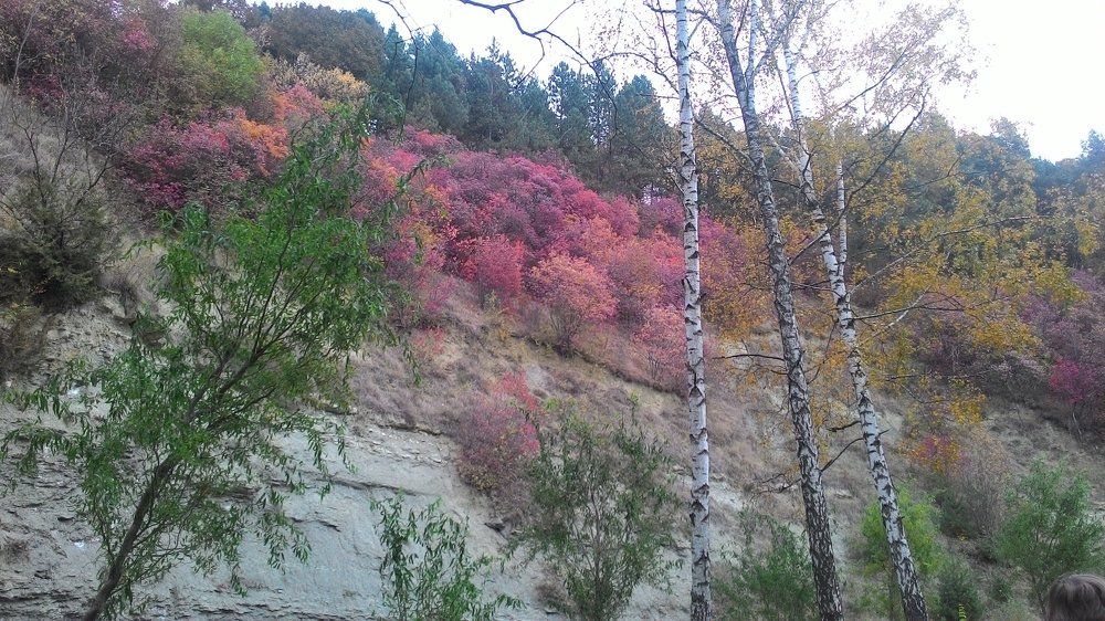 Краски осени.