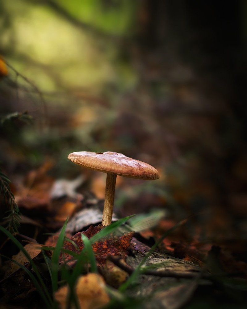 Photograph by Чернякова Анна