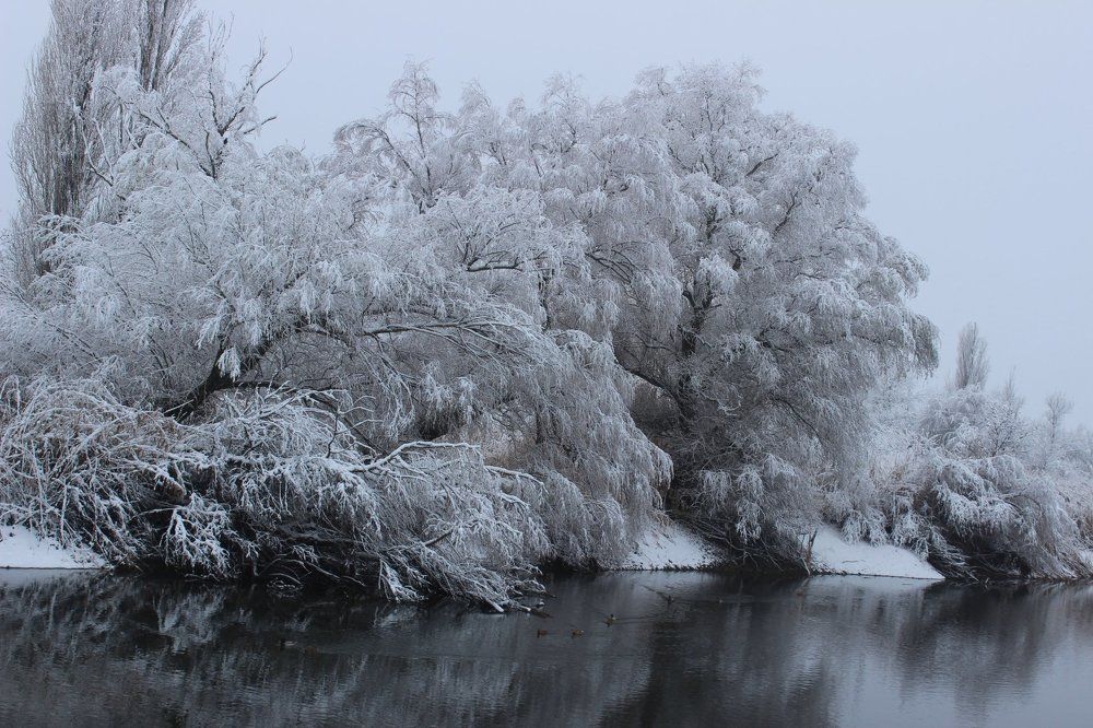 Photograph by Колесник Татьяна