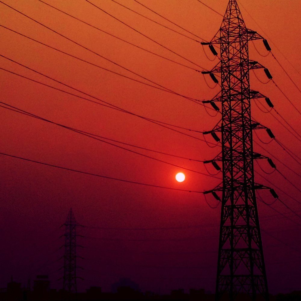 Standing Tall by the Setting Sun...