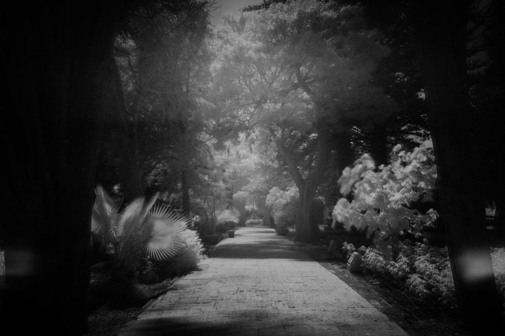 Дорога из желтого кирпича