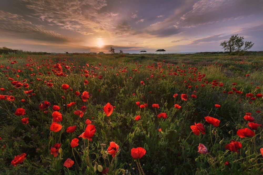 Весна красна