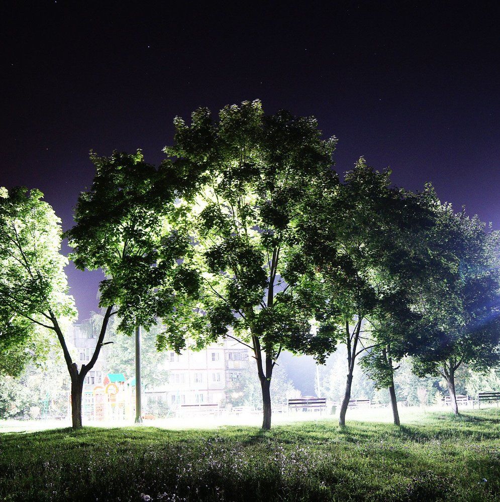 Photograph by Бадаев Антон