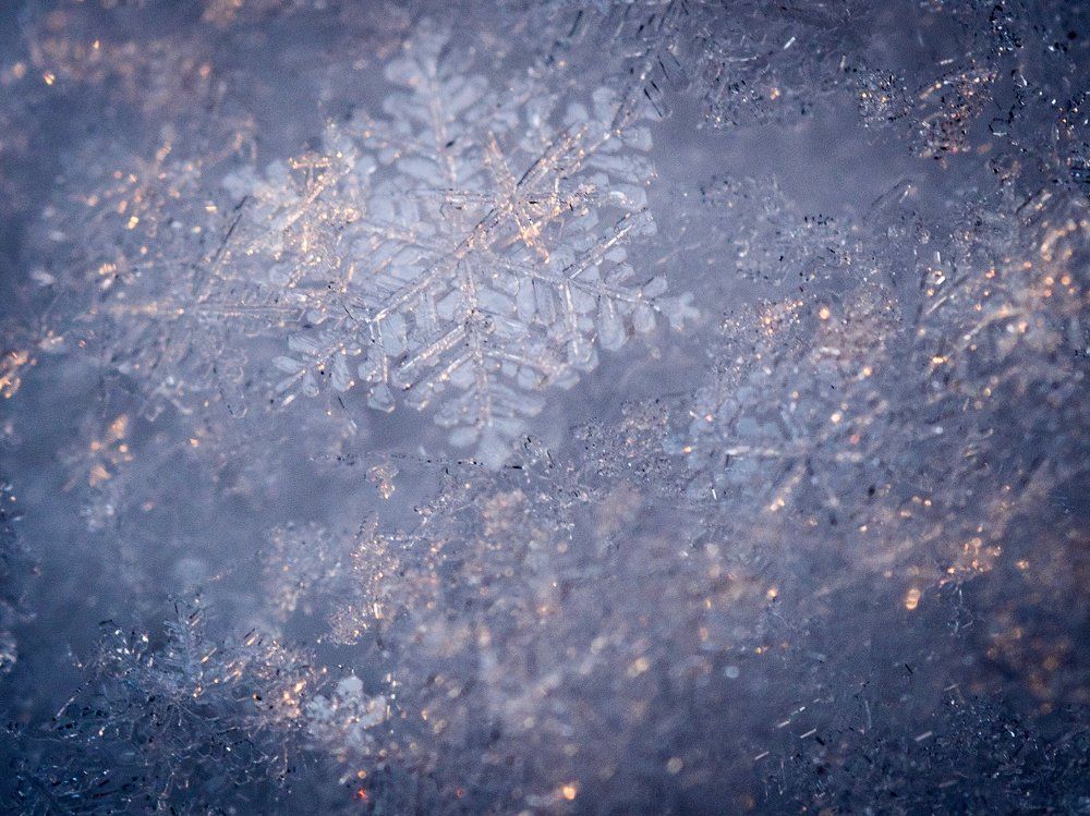 Зима приближается