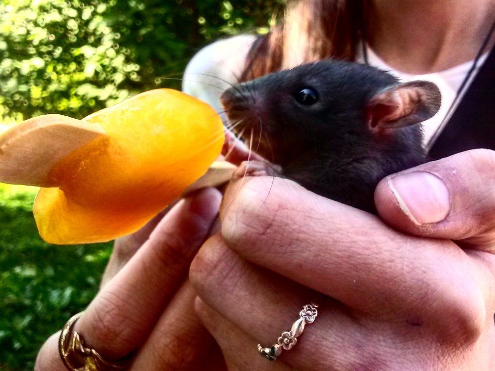 Знакомство