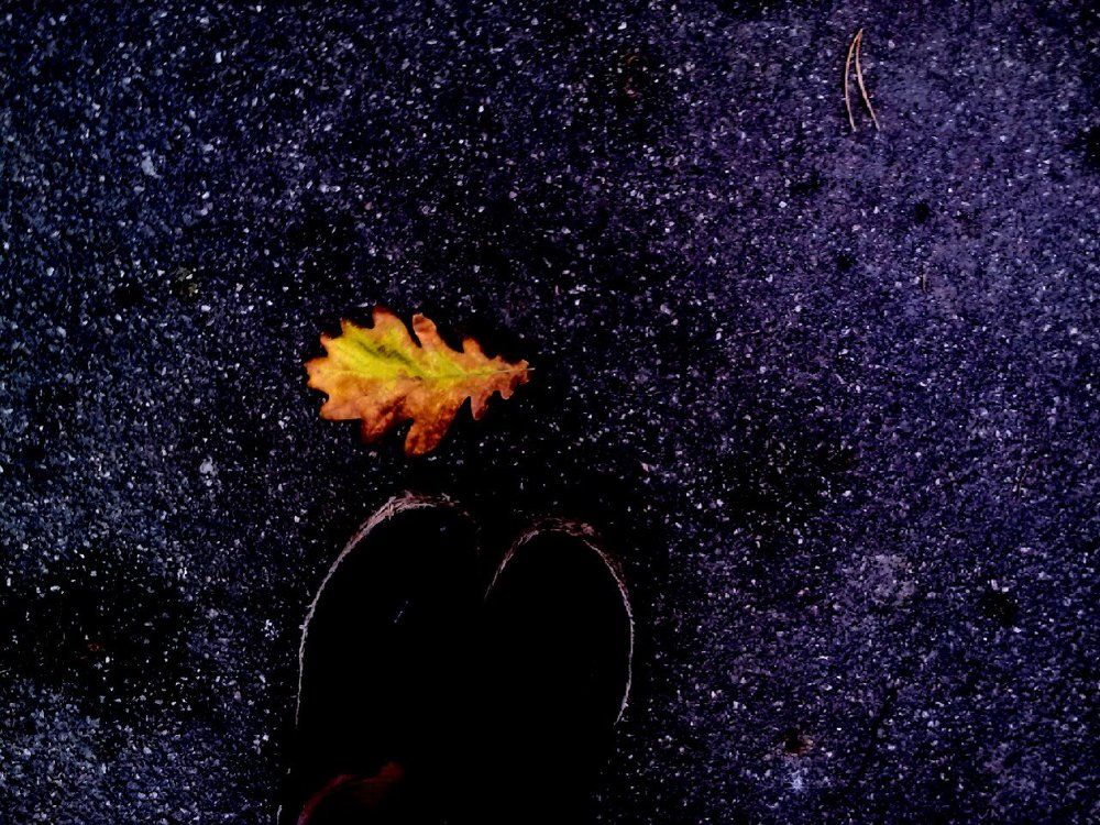 Photograph by Бузоева Дана