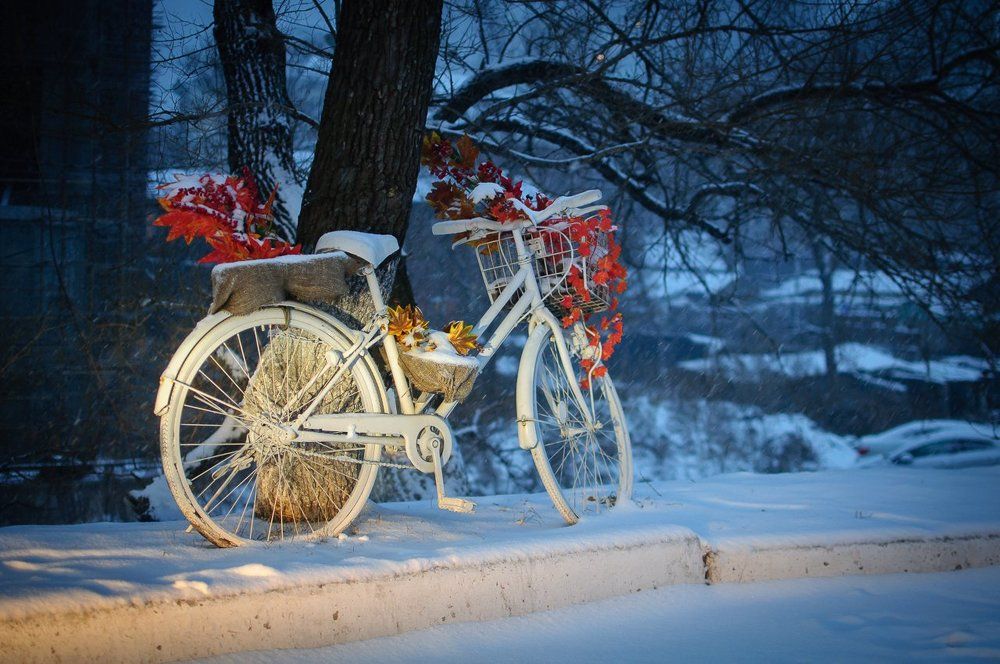 Запоздавшая осень