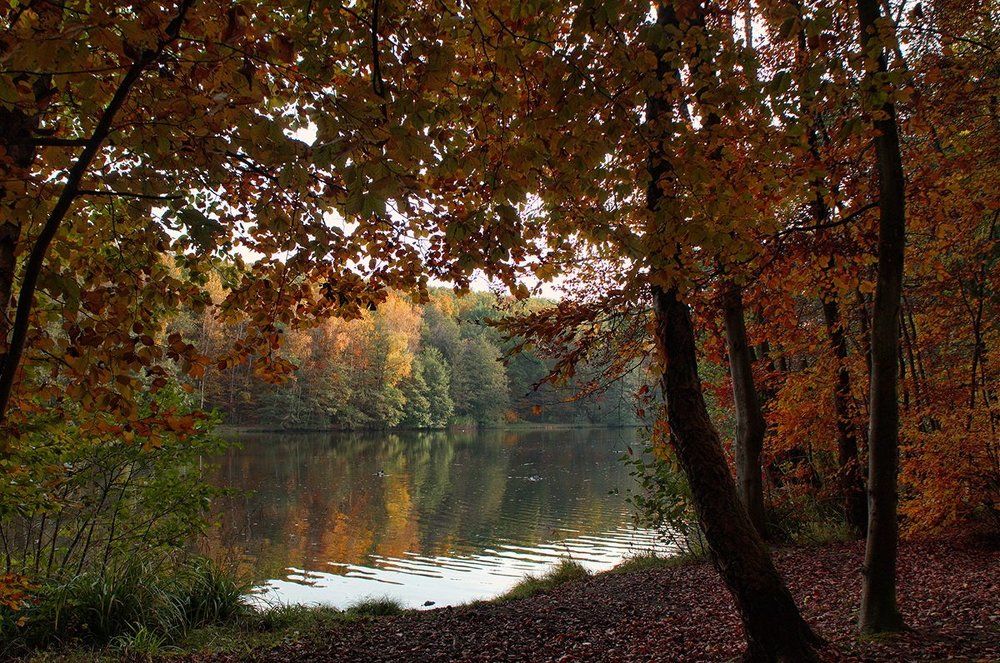озеро Бурбах ФРГ осень.. II