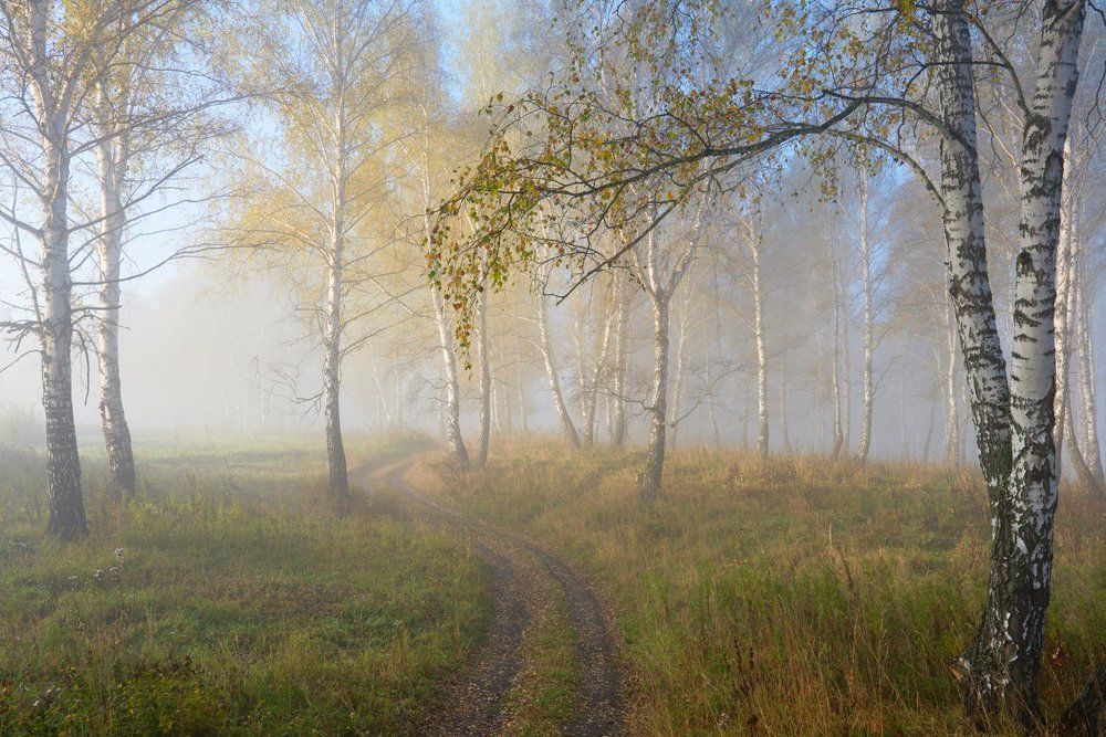 Осеннее настроение