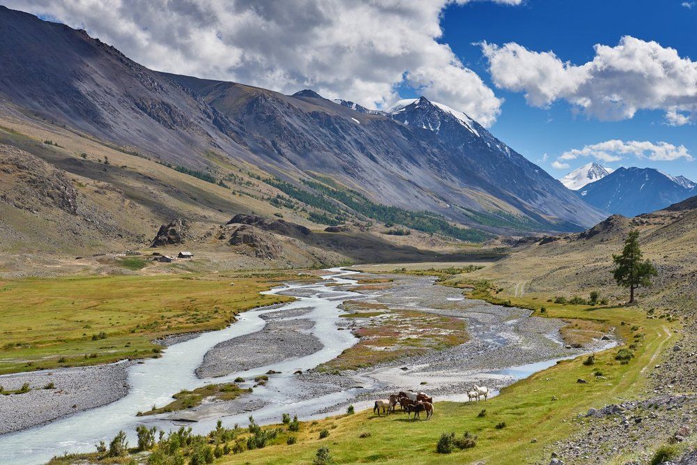 Жаркий полдень у ледяной воды