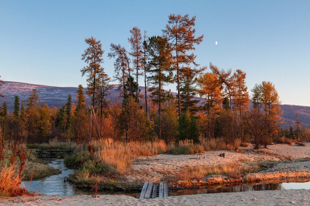 Медный вечер