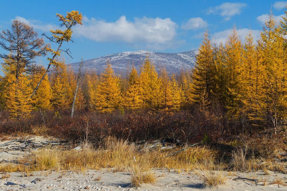 Байкальская рыжая осень