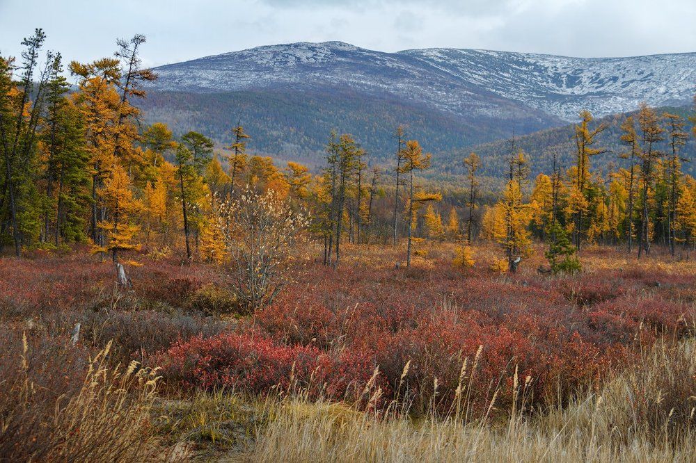 Нарядное пасмурное