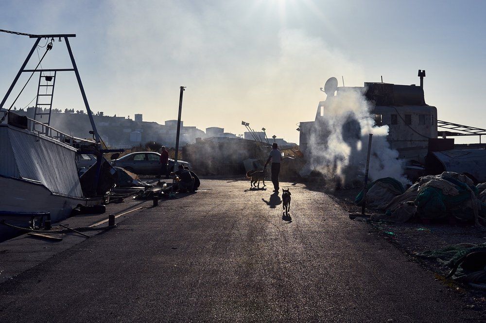 Everyday life of port | Повседневная жизнь порта