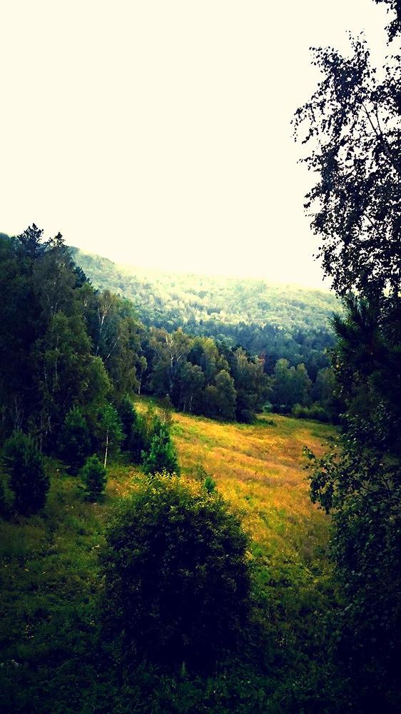 Photograph by Полина