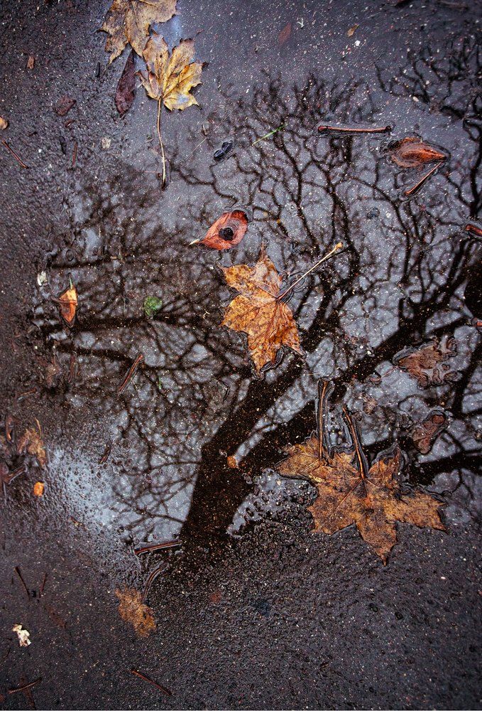 зеркальце для осени