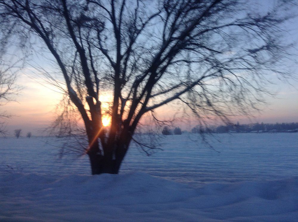 Winter