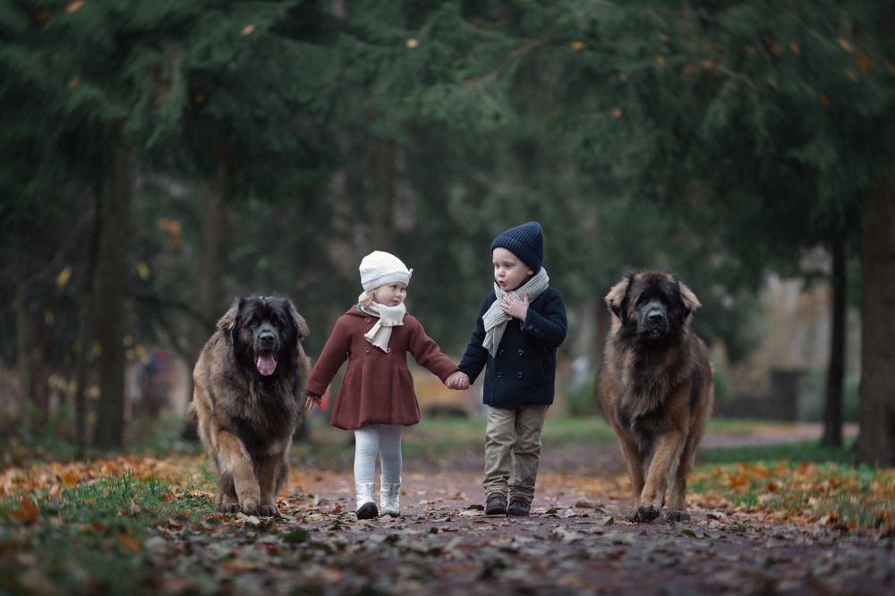 Под надежной охраной (2)