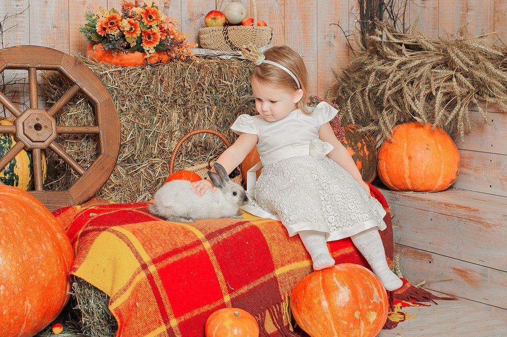 "Первое знакомство"