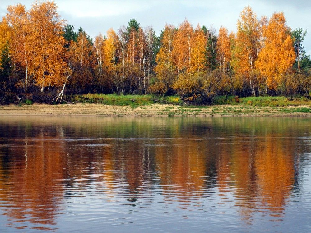 Начало осени.