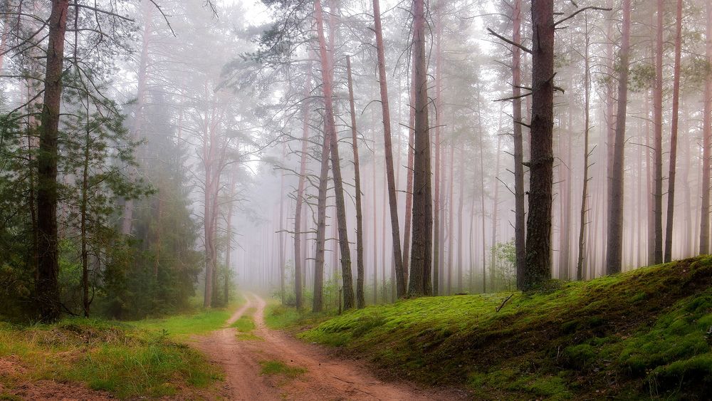 Утром в сентябре