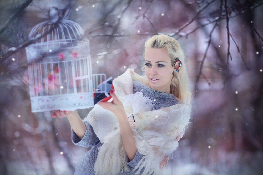 Эльфина и Снегирь