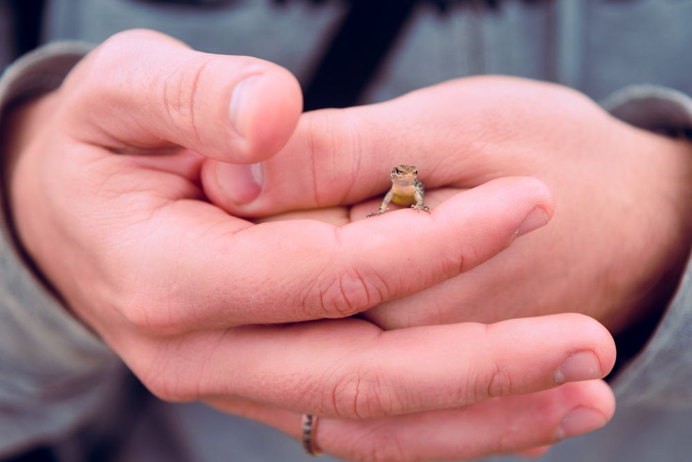 Photograph by Антон Валериевич Нищенко