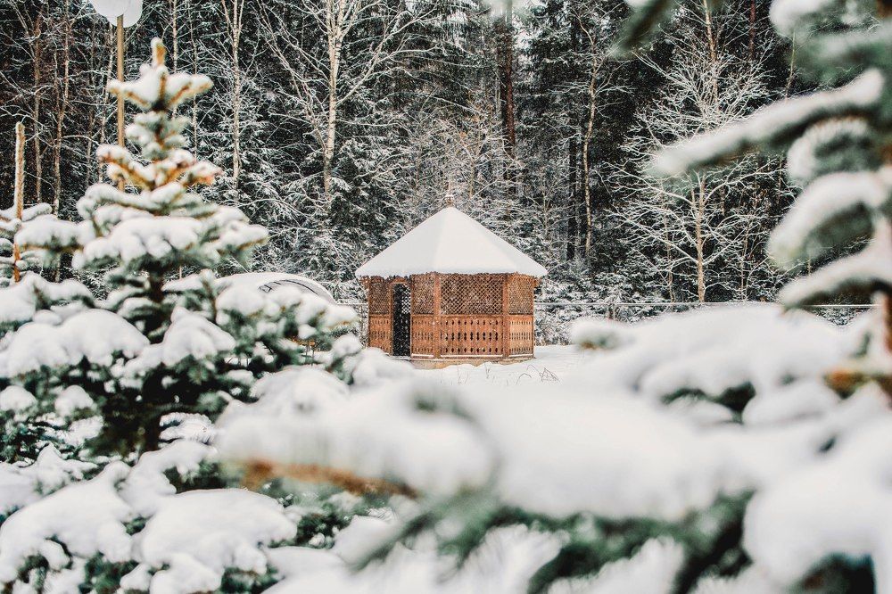 Беседка в лесу