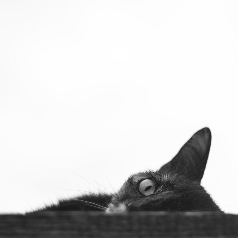 Photograph by Алексей