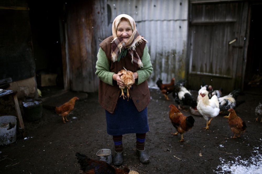 Бабушка с Курочкой