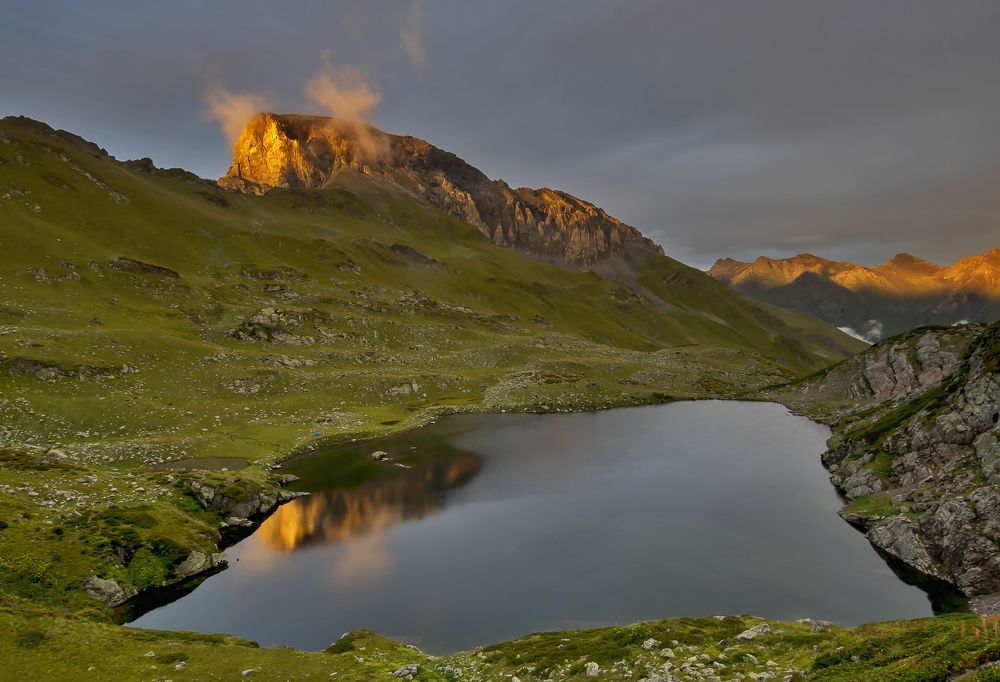 Золотое руно