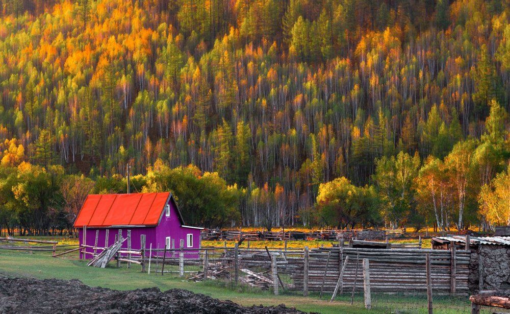 Осенная утро