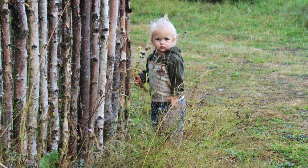 Лето в карельской деревне.