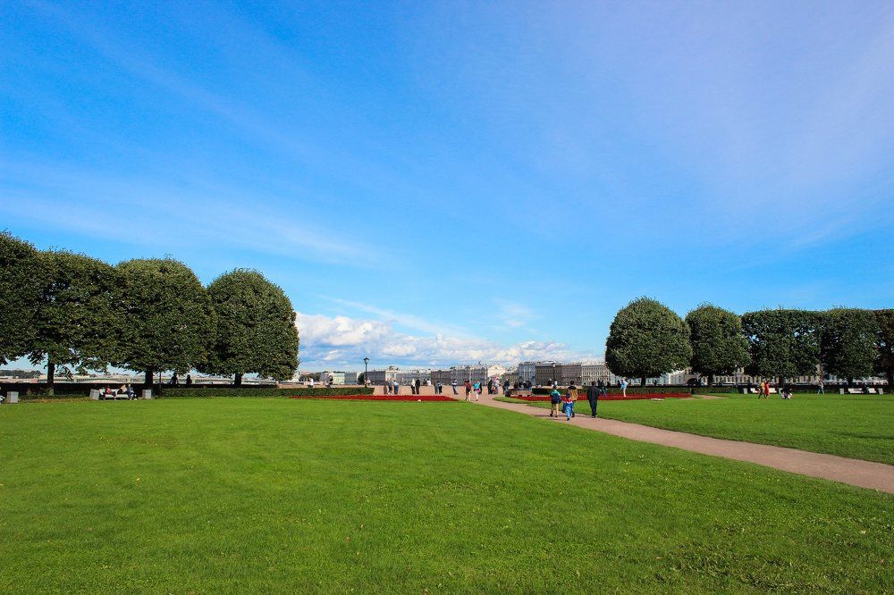 Стрелка на Ваське