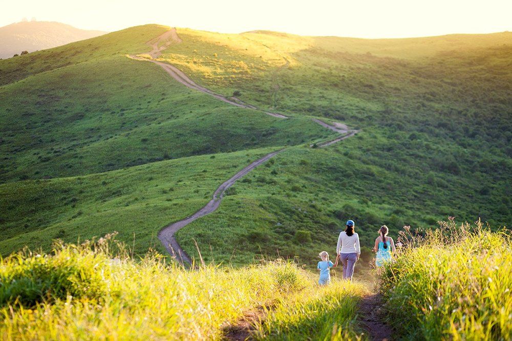 Дорога уходит вдаль...
