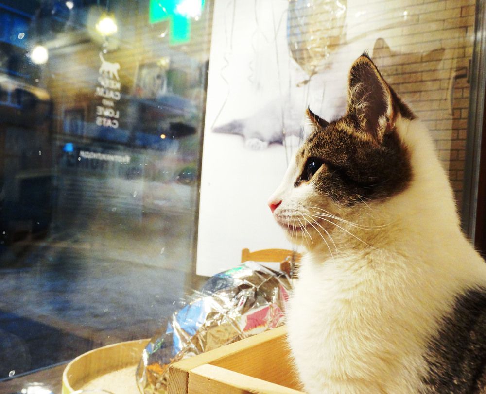 Photograph by Екатерина