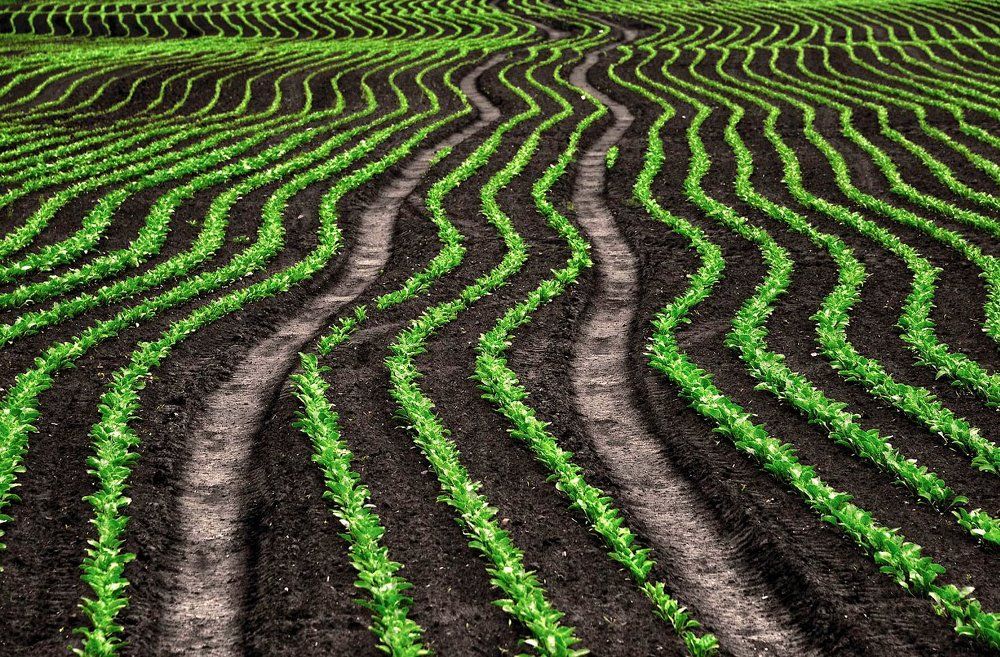 Photograph by Aeromast