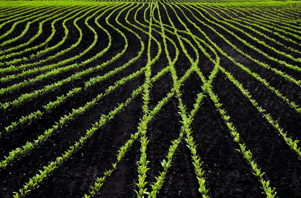 Photograph by Aeromast