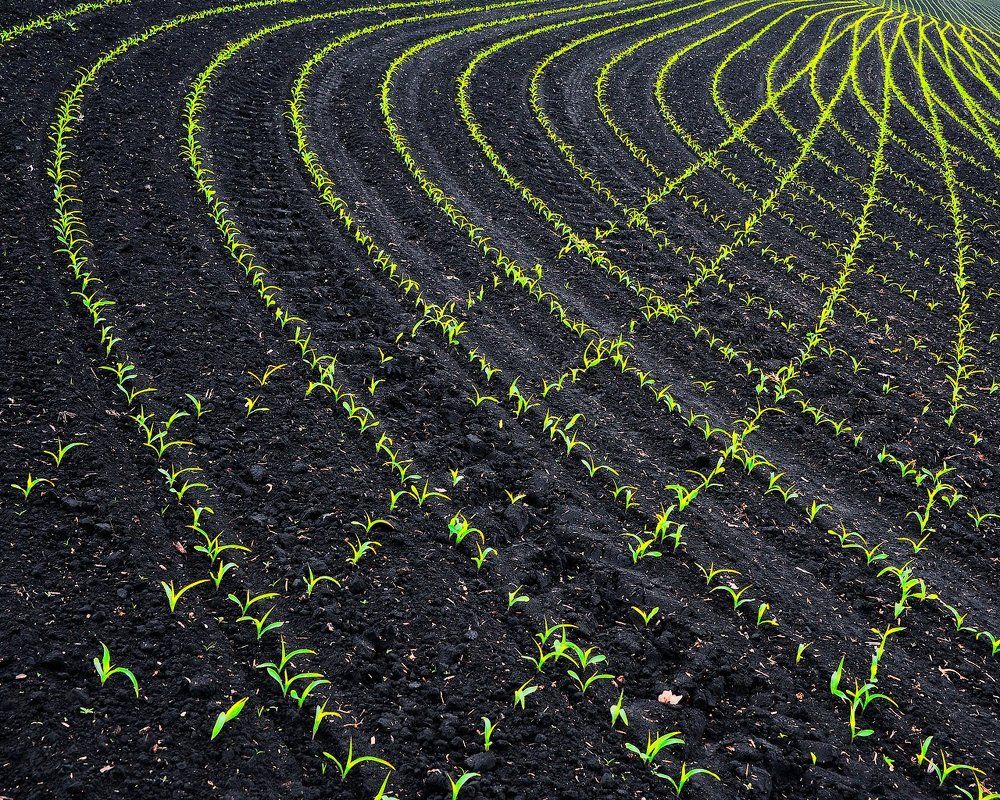 Photograph by Aeromast