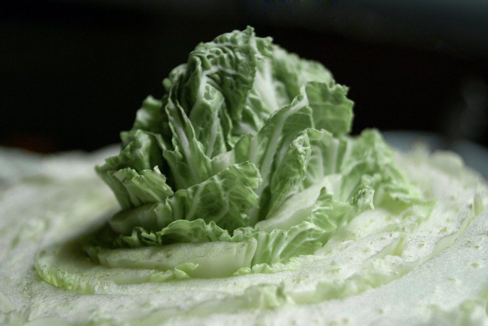 Росток из холодильника